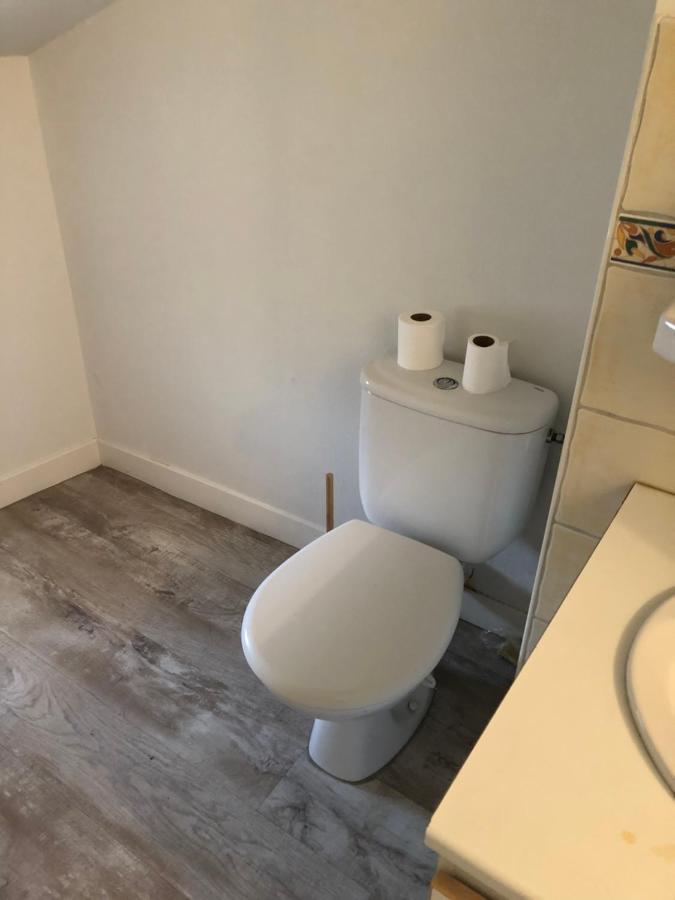 Appartement Cosy Et Lumineux Caussens Exteriér fotografie